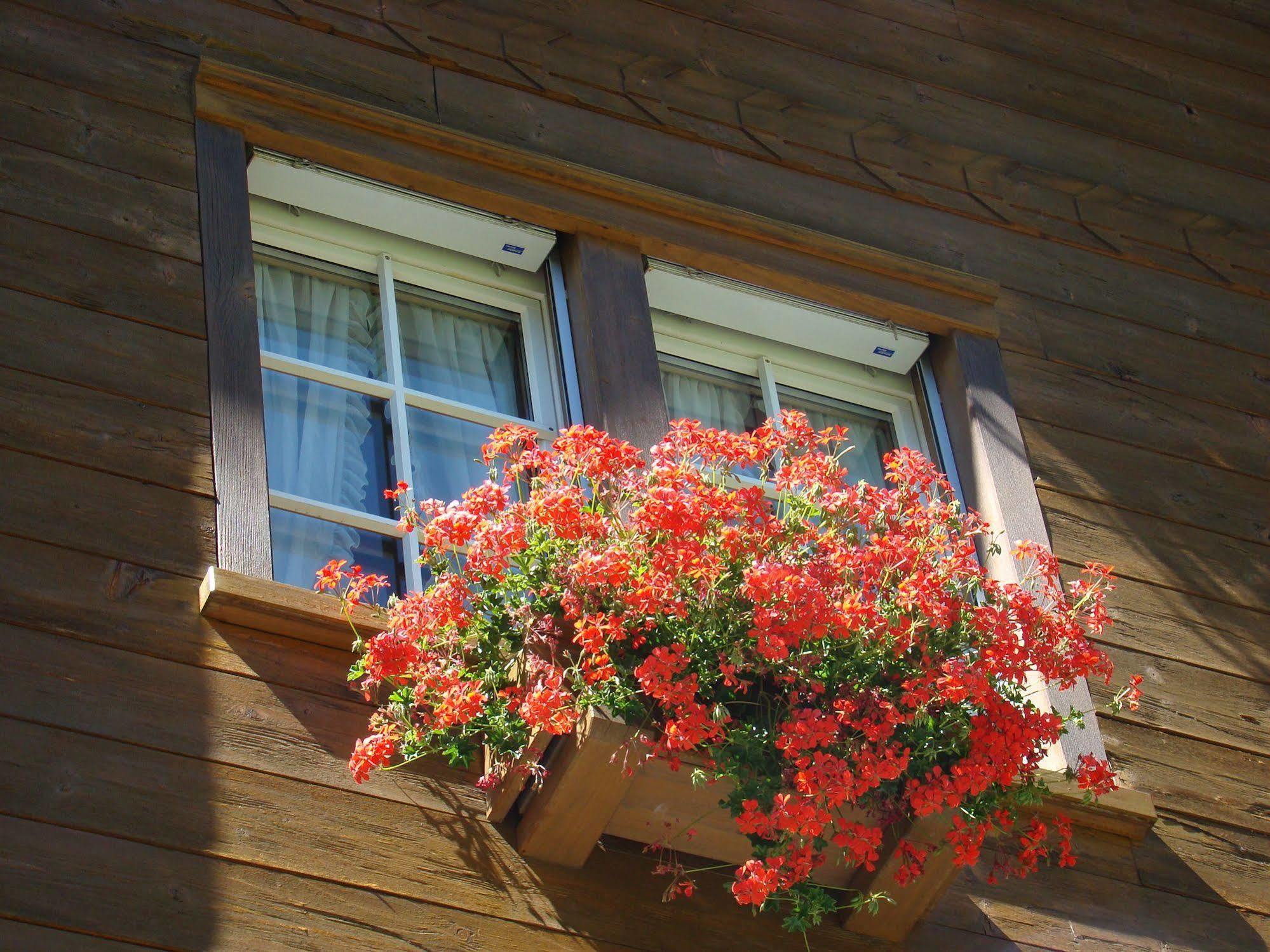 Arcade Apartments & Spa Saas-Fee Exterior photo